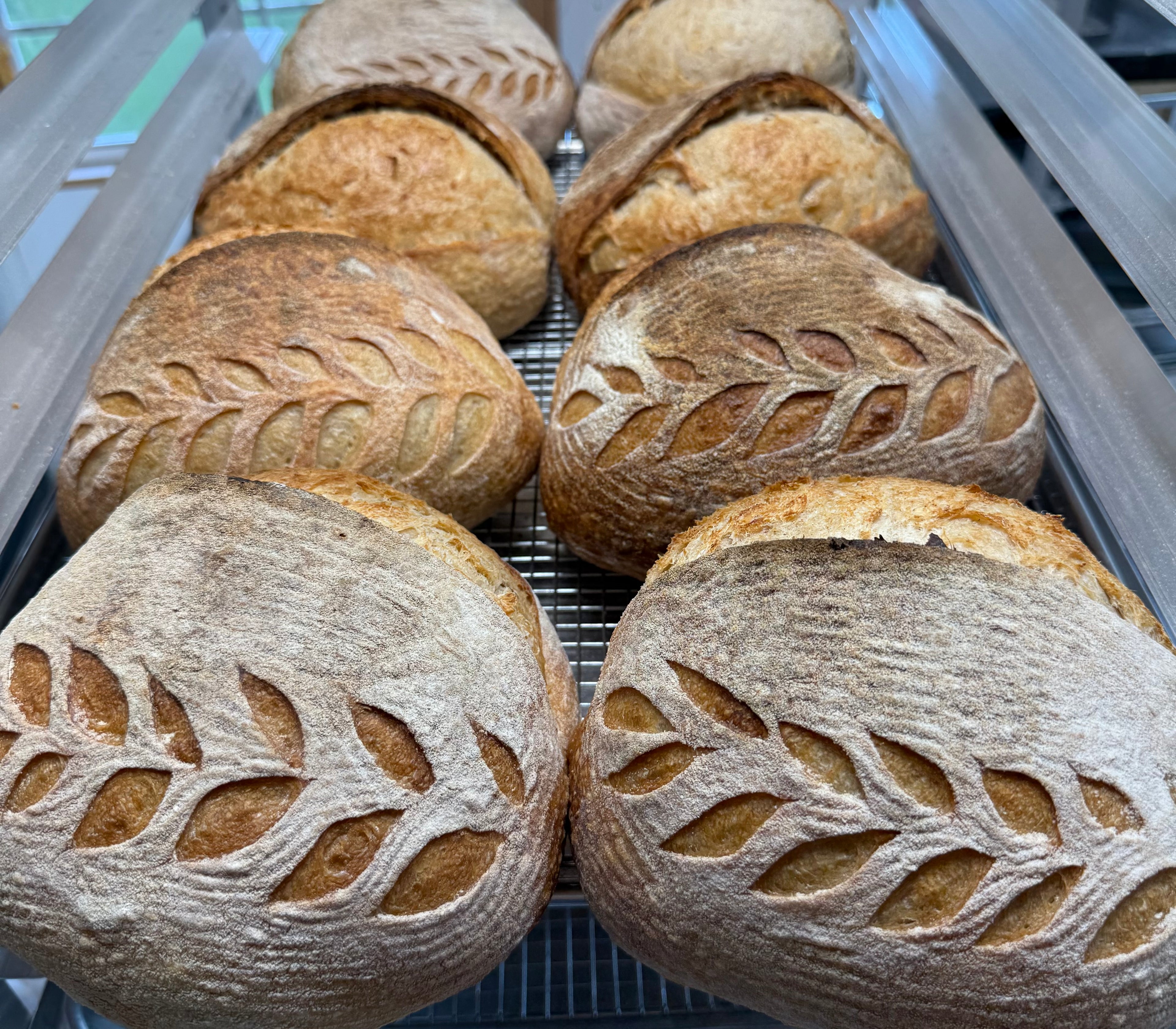 Classic Sourdough