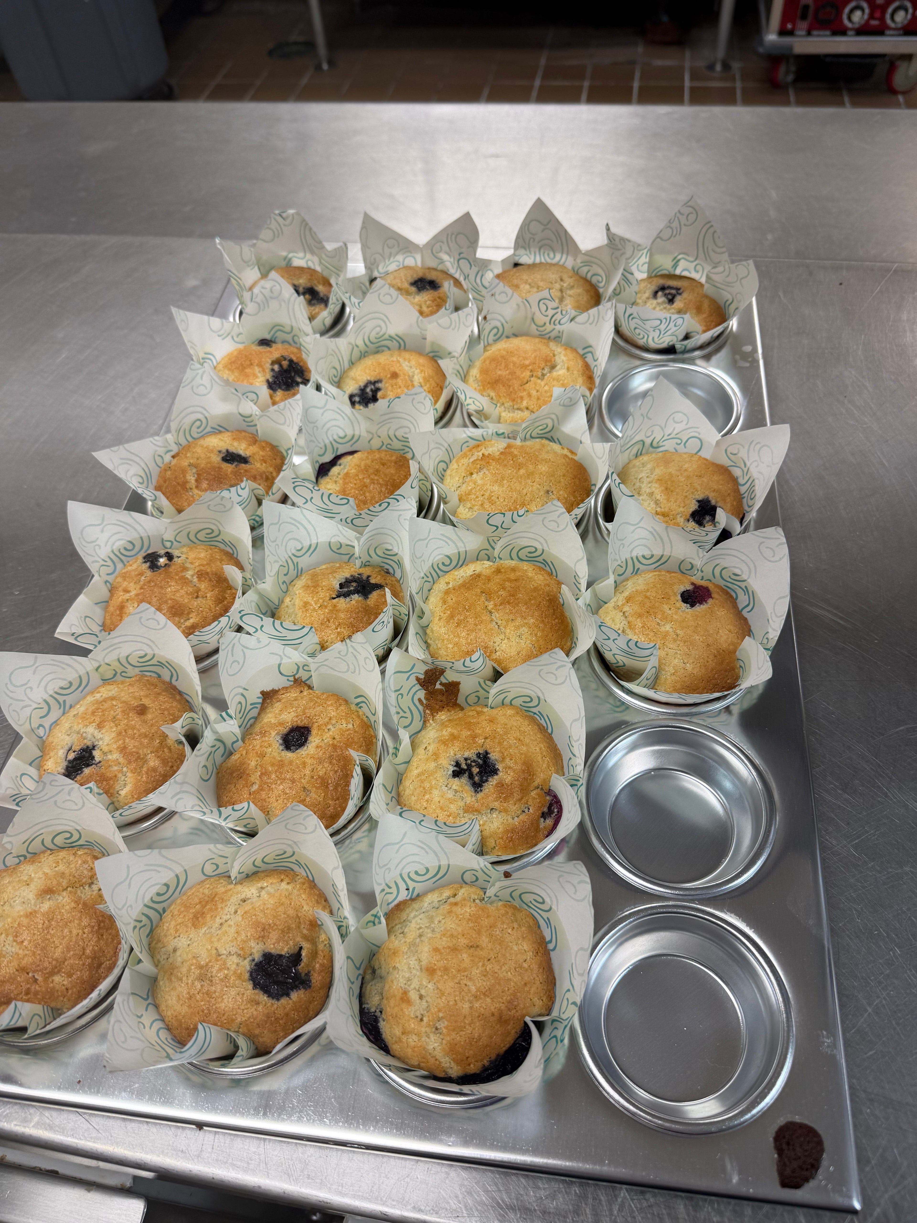Blueberry Sourdough Muffins